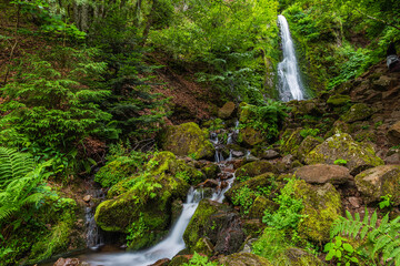 Cascade 
