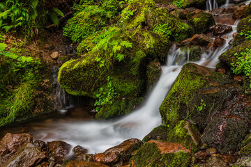 Cascade 