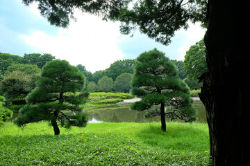 神代植物公園の日本庭園