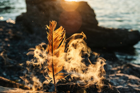 Bright bird's feather in the rays of the sunset and smoke from the fire on lake Teletskoye in the Altai Mountains, Russia