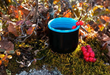 Tourist mug and thermos with tea and lemongrass in nature stands on a stone and green moss.