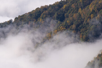  紅葉し始めた谷を雲海が覆う
