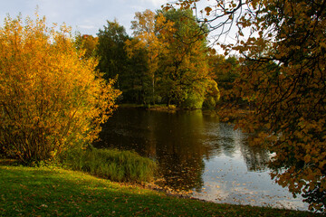Fototapeta na wymiar autumn landscape lake surrounded by trees