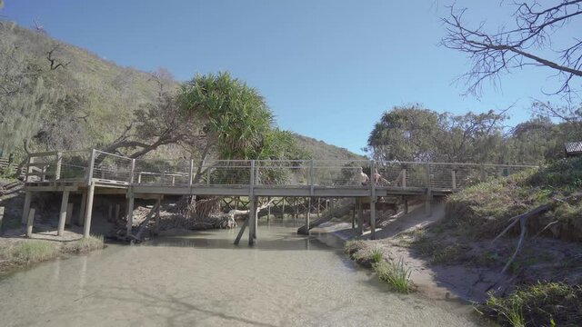 Young Couple Walking on nature bridge at Eli Creek, Fraser Island