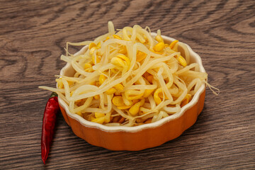 Soy sprout heap in the bowl
