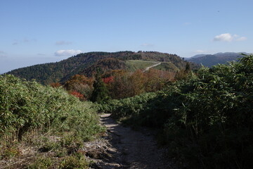 とても美しい日本の秋の山の景色