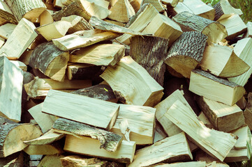 birch wood in storage in the forest
