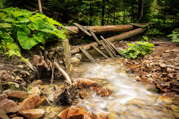 mountain stream in the dark forest