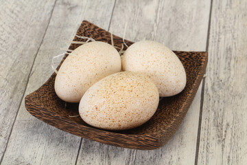 Three big raw turkey egg