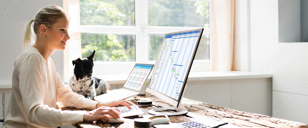 Aufkleber Woman Using Time Sheet Report On Computer
