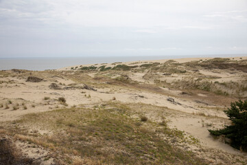 Dunes on the Curonian spit, Kaliningrad region