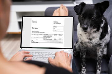 Using E Invoice Accounting Software