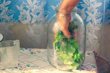 7. Step by step pickling of tomatoes for the winter in the village. Laying greens in a jar for pickling tomatoes.