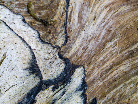 wooden structure