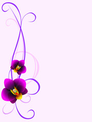 Floral background with orchid flowers, design element.