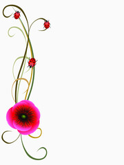 Floral background with poppy seeds and ladybugs, design element.