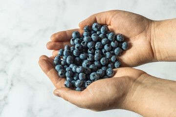 A handful of blueberries in hands