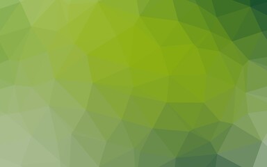 Light Green vector polygon abstract layout.