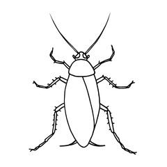 Cockroach pest, contour vector illustration of a cockroach, top view.