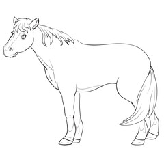 horse sketch from farm, coloring book, cartoon illustration, isolated object on white background, vector,
