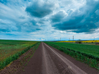 Fototapeta na wymiar landscape with road
