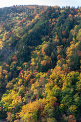 北海道の層雲峡の紅葉