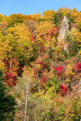 北海道の層雲峡の紅葉