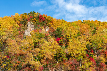 北海道の層雲峡の紅葉