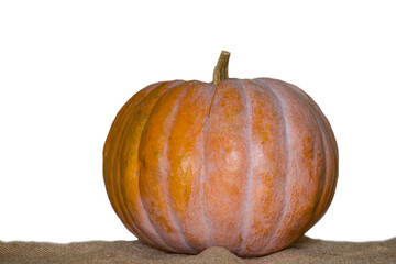 closeup pumpkin isolated on a white background