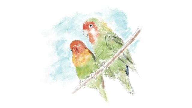 Sitting Parrots watercolor animation on white background