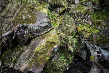 Large rocks in the mountains with texture and moss in the humid forest