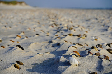 Am Strand von Blavand