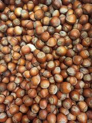hazelnuts background close up