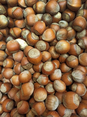 background of hazelnuts . lots of nuts