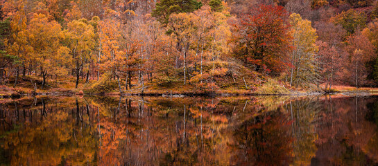 Reflection of colourful trees in lake.Bright and vibrant landscape scene.Nature background,...