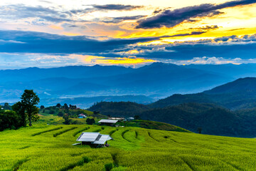 Fototapeta na wymiar Terraced rice field on Mountain before sunset, Chiang mai Province, Northern of Thailand