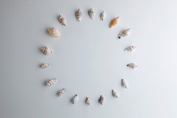 form of circle made of shells