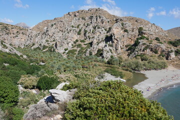 Palmenschlucht Griechische Berglandschaft Palmen Kreta Paralia Preveli Flussmündung