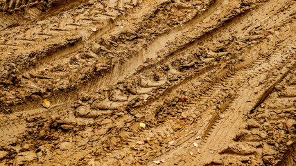 traces of cars in the mud