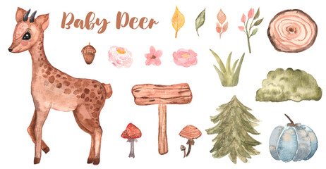 Cute cartoon watercolor forest animal baby deer. Hand painted lovely illustration. Perfect for baby shower,print and card making. Woodland wild brown deer and plants, wood slice