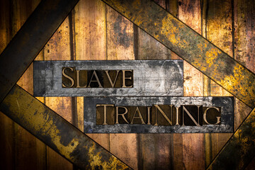 Slave Training text message on textured grunge copper and vintage gold background