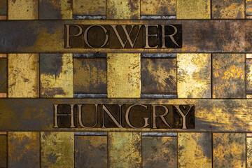 Power Hungry text message on textured grunge copper and vintage gold background
