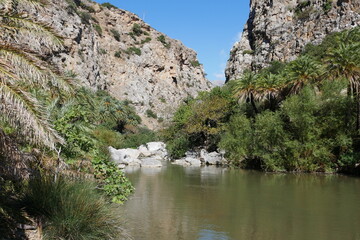 Palmen, Fluss und Felsen in Paralia Preveli auf Kreta am Mittelmeer in Griechenland