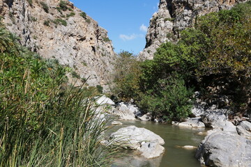 Griechische Berglandschaft mit Palmen Kreta Paralia Preveli Insel Griechenland