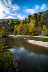 Rapid mountain river with stones through the autumn forest