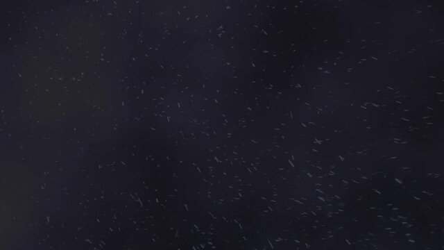 Snowy winter cold background. The video shows a blizzard and it's very cold.