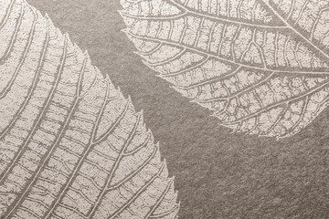 Generic leaf print pattern background.