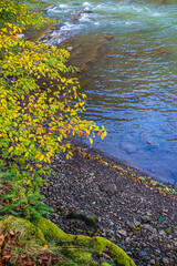 Mountain river in the national park