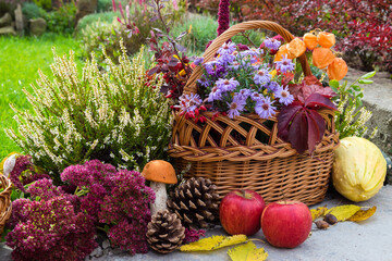 Autumn composition with pumpkin, wicker basket, colorful leaves and 
heather