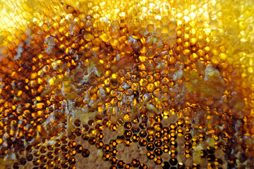 Drop of bee honey drip from hexagonal honeycombs